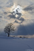 /album/%e3%83%95%e3%82%a9%e3%83%88%e3%82%ae%e3%83%a3%e3%83%a9%e3%83%aa%e3%83%bc/a2-2-jpg/